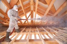 Best Attic Insulation Installation  in Cheval, FL