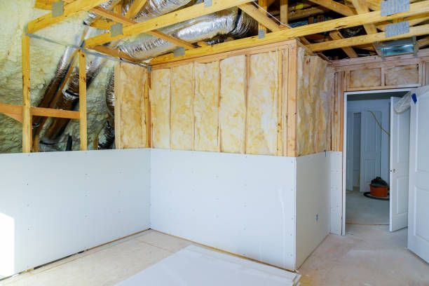 Best Radiant Barrier Insulation  in Cheval, FL