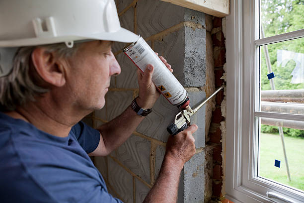 Best Wall Insulation Installation  in Cheval, FL